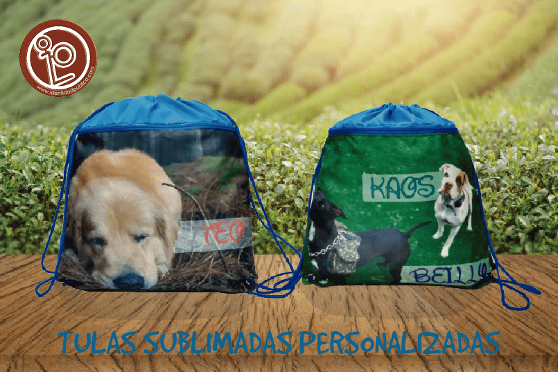 TULAS DEPORTIVAS PARA PERROS